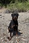 Rolo Von Dara